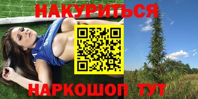 PSILOCYBIN Заводоуковск