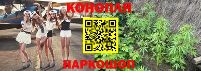 PSILOCYBIN Заводоуковск