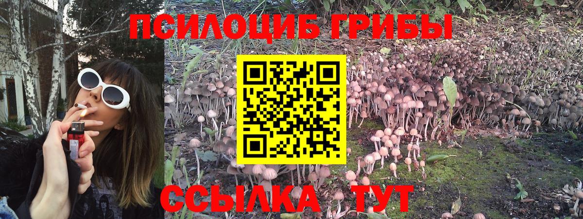 Галлюциногенные грибы MAGIC MUSHROOMS  хочу наркоту  Майкоп  Вход с VPN 